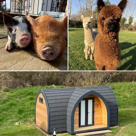 The Piggery Pod Otel Sittingbourne Dış mekan fotoğraf