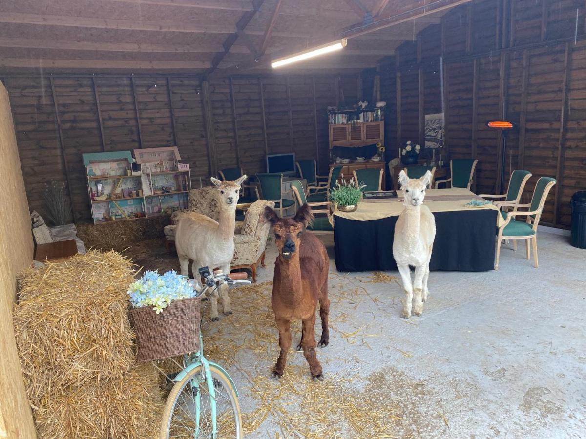 The Piggery Pod Otel Sittingbourne Dış mekan fotoğraf