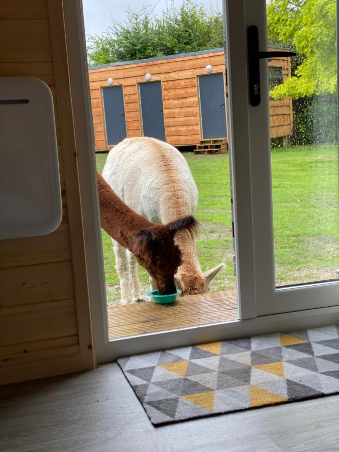 The Piggery Pod Otel Sittingbourne Dış mekan fotoğraf