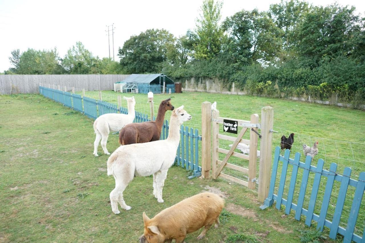 The Piggery Pod Otel Sittingbourne Dış mekan fotoğraf